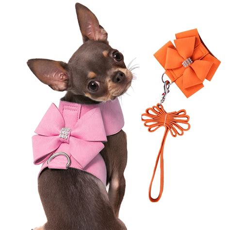 luxury small dog harness